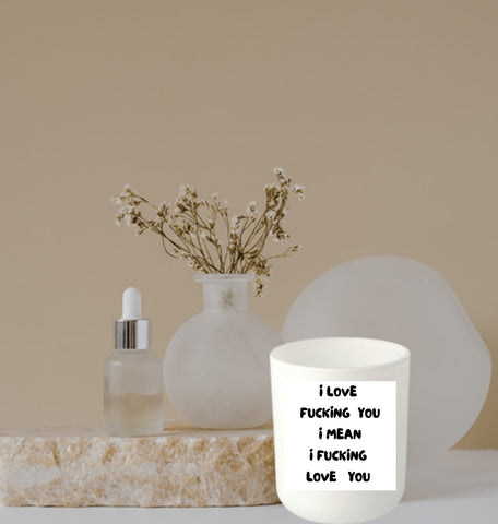 I love fucking you